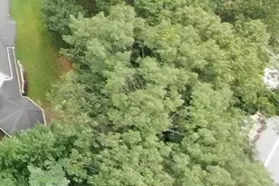 Connors Ln, Millersville, MD 21108 - Photo 4