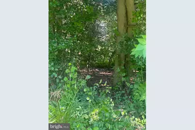 Maryland Avenue, Pasadena, MD 21122 - Photo 6