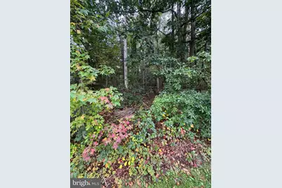 1635 Wall Drive, Pasadena, MD 21122 - Photo 6