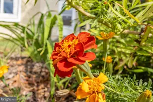 2033 Shore Dr, Edgewater, MD 21037 - Photo 28