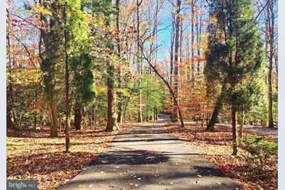 621 Wood Lot Trail Road, Annapolis, MD 21401 - Photo 44