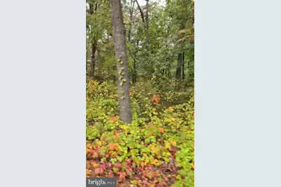 Generals Highway, Millersville, MD 21108 - Photo 4