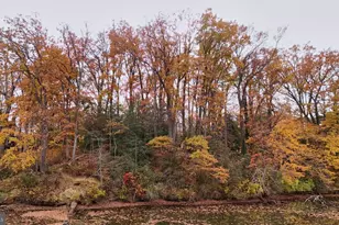 243 and 245 Haverton Rd, Arnold, MD 21012 - Photo 10