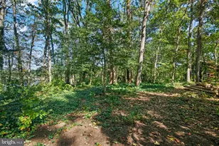 243 and 245 Haverton Rd, Arnold, MD 21012 - Photo 18
