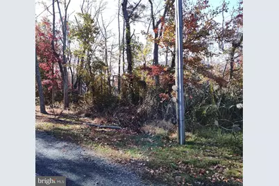 1217 Cross, Annapolis, MD 21403 - Photo 8