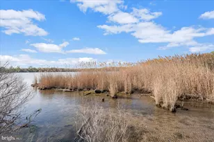 2113 Lake Dr, Pasadena, MD 21122 - Photo 50