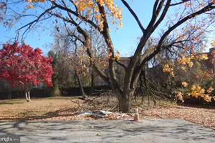 231 Brock Bridge Rd, Laurel, MD 20724 - Photo 4