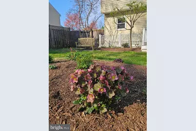 206 Armstrong Lane, Pasadena, MD 21122 - Photo 1