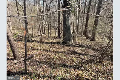 Solomons Island Road, Harwood, MD 20776 - Photo 2