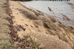 8421 Spring Rd, Pasadena, MD 21122 - Photo 28