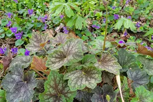 1213 McKinley St, Annapolis, MD 21403 - Photo 32