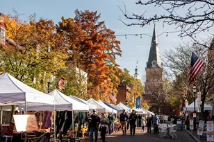 40 Windwhisper Ln, Annapolis, MD 21403 - Photo 66