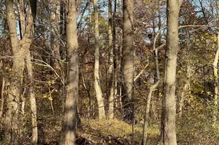 4755 S Polling House Rd, Harwood, MD 20776 - Photo 4