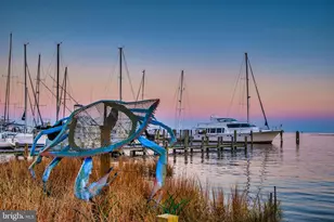 116 Academy St, Annapolis, MD 21401 - Photo 50