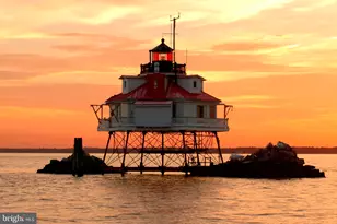 116 Academy St, Annapolis, MD 21401 - Photo 38