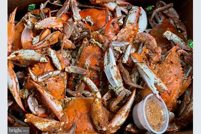 116 Academy Street, Annapolis, MD 21401 - Photo 46