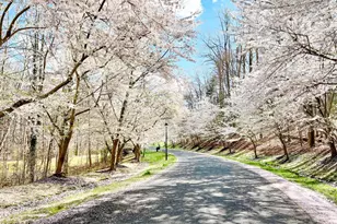 1620 Wyatts Ridge Rd, Crownsville, MD 21032 - Photo 84