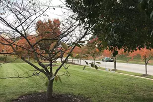 703 Orchard Overlook, Odenton, MD 21113 - Photo 20