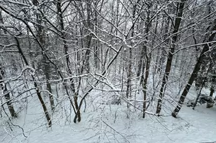 2403 Killarney Terrace, Odenton, MD 21113 - Photo 44