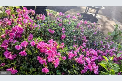 762 224th Street, Pasadena, MD 21122 - Photo 30