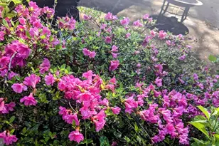 762 224th St, Pasadena, MD 21122 - Photo 30