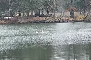 939 Main St, Deale, MD 20751 - Photo 36