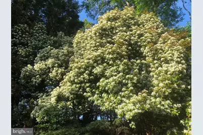 2568 Forest Knoll, Annapolis, MD 21401 - Photo 12