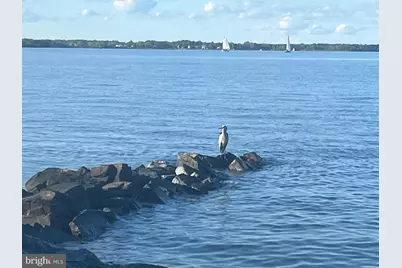 2654 Ogleton Road, Annapolis, MD 21403 - Photo 38