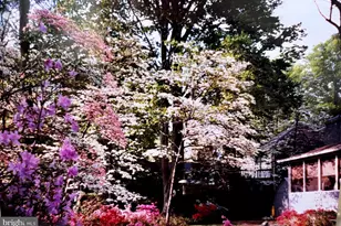 1609 Earlham Ave, Crofton, MD 21114 - Photo 14