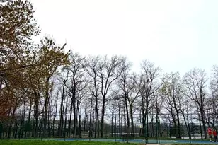 1346 Cox Cove Ct, Stoney Beach, MD 21226 - Photo 42