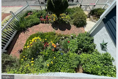 98 Duke Of Gloucester Street, Annapolis, MD 21401 - Photo 4