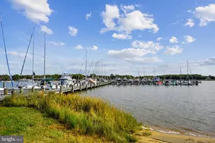 123 Lee Dr, Annapolis, MD 21403 - Photo 34