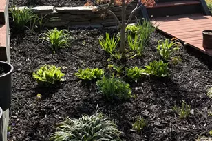 104 Meadow Rd, Riva, MD 21140 - Photo 26