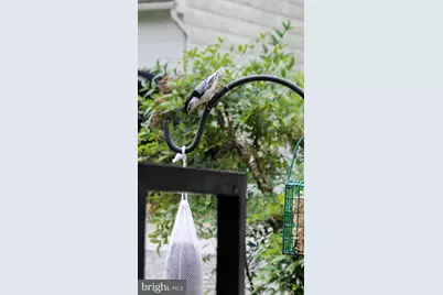 104 Meadow Road, Riva, MD 21140 - Photo 6