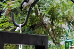 104 Meadow Rd, Riva, MD 21140 - Photo 6