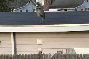 104 Meadow Rd, Riva, MD 21140 - Photo 54