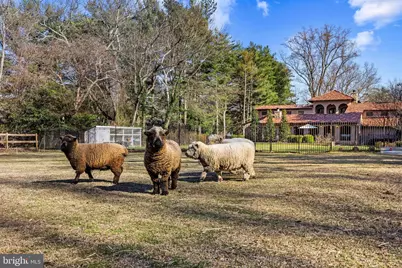 1344 Tydings Road, Annapolis, MD 21409 - Photo 4