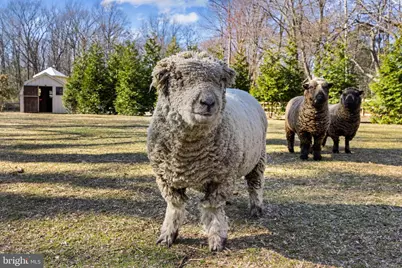 1344 Tydings Road, Annapolis, MD 21409 - Photo 36