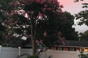 1318 Meadowvale Rd, Glen Burnie, MD 21060 - Photo 2