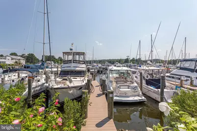 6308 Prout Farm Lane, Tracys Landing, MD 20779 - Photo 38