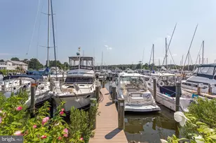 6308 Prout Farm Ln, Tracys Landing, MD 20779 - Photo 38