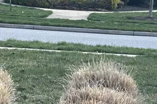 7326 Mockingbird Cir, Glen Burnie, MD 21060 - Photo 40