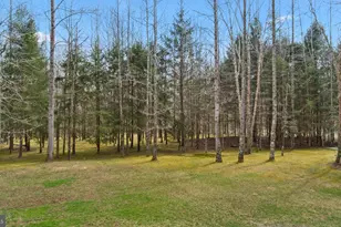 310 Kidwell Ln, Owings, MD 20736 - Photo 8