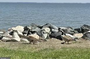 1510 Callaway Dr, Shady Side, MD 20764 - Photo 20