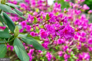 1721 Urby Dr, Crofton, MD 21114 - Photo 54