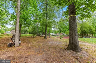 141 North Dr, Pasadena, MD 21122 - Photo 56