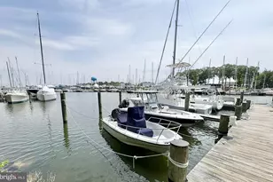 8 Highland Ave, Annapolis, MD 21403 - Photo 54