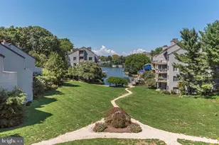 8 Spa Creek Landing, Annapolis, MD 21403 - Photo 24