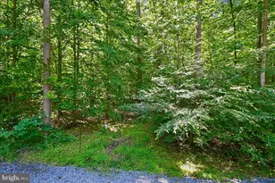 3633 Patuxent River Rd, Davidsonville, MD 21035 - Photo 72
