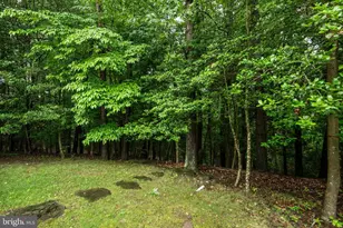 2551 Jigger Way, Annapolis, MD 21401 - Photo 32